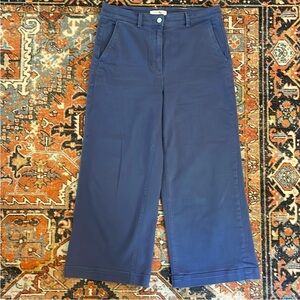 Everlane Utility Wide-Leg Blue Pants